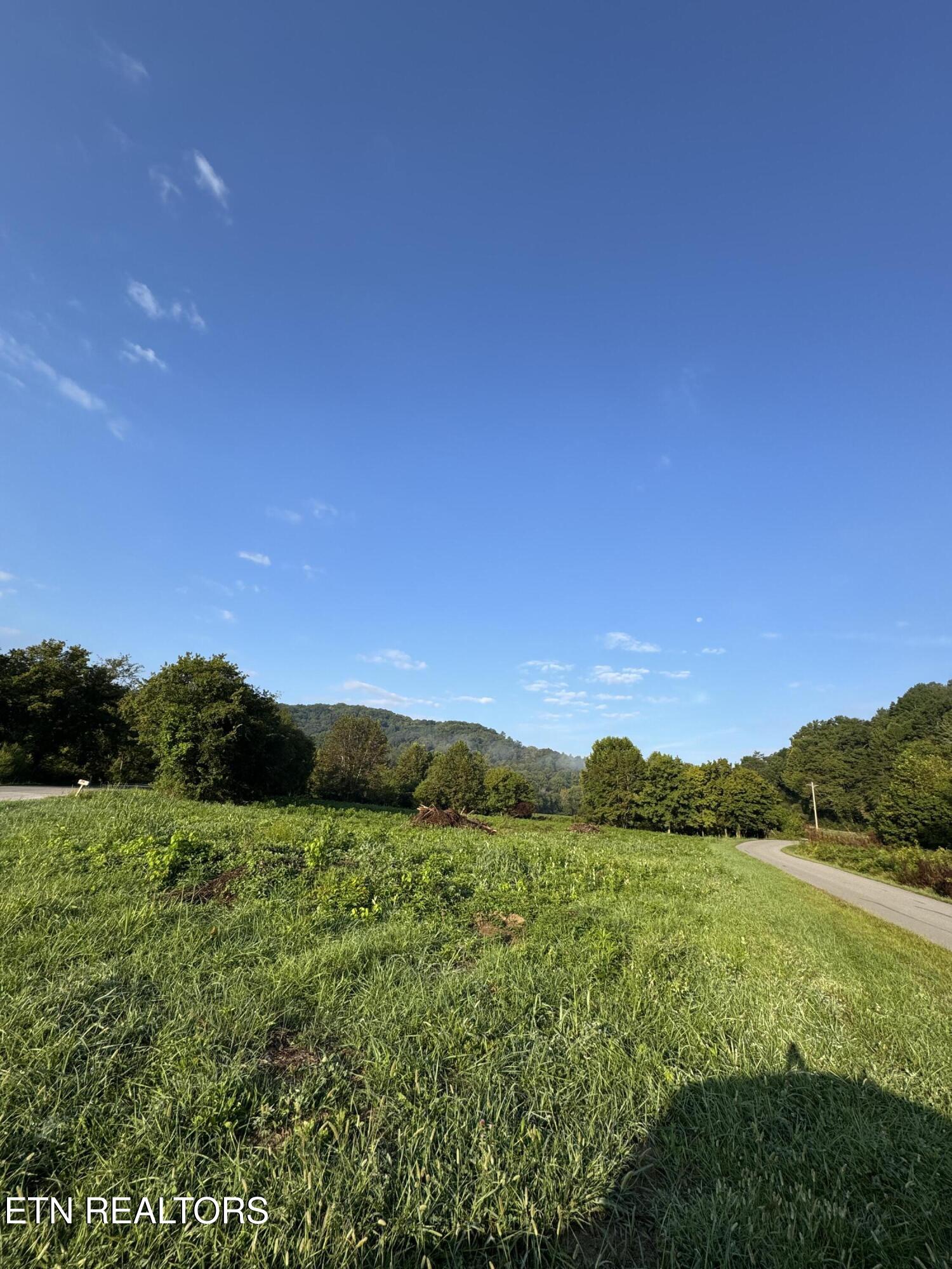 Tunnel Hill Road Helenwood, TN 37755 - Photo 10 of 13 IMG_9474