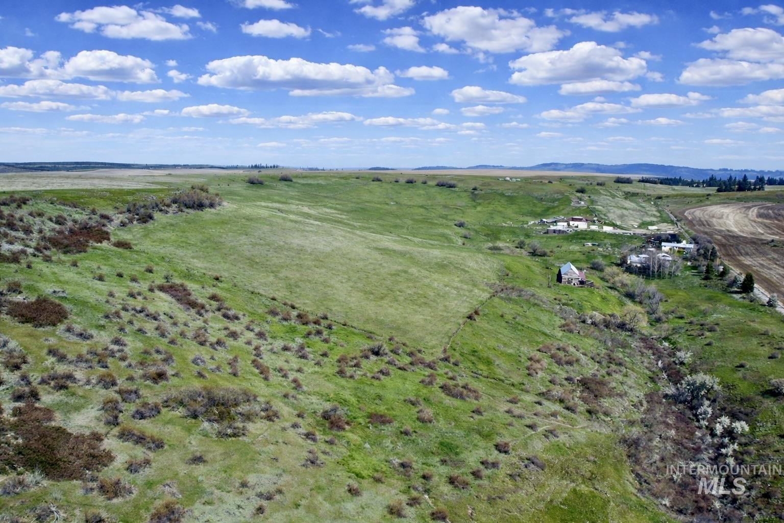 1753 Drake Road Nezperce, ID 83543 - Photo 12 of 31