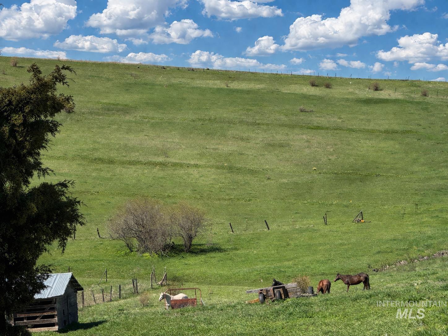 1753 Drake Road Nezperce, ID 83543 - Photo 16 of 31