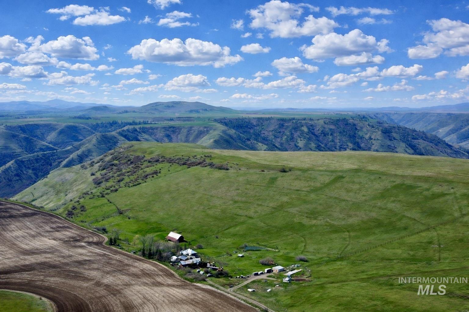 1753 Drake Road Nezperce, ID 83543 - Photo 2 of 31
