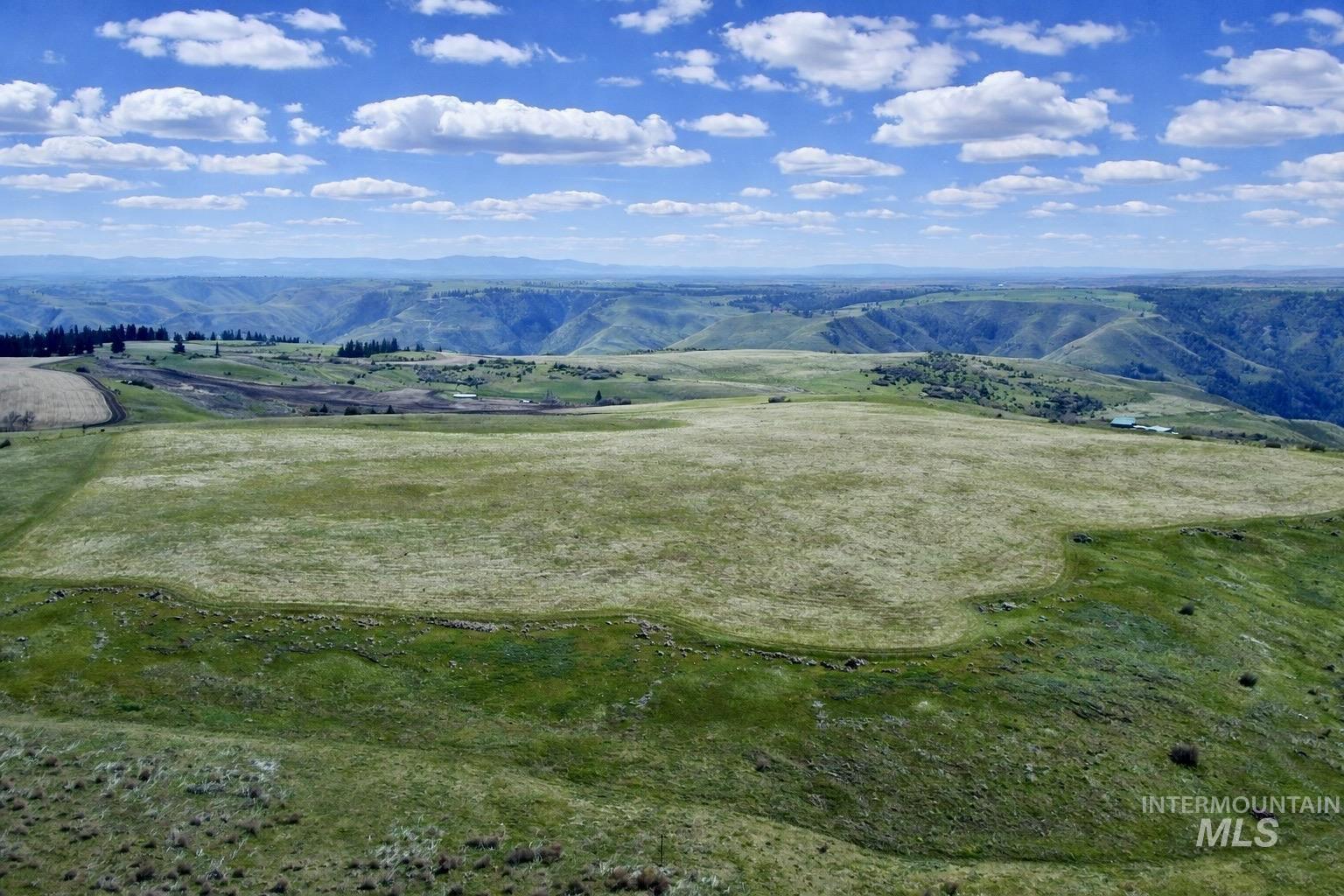 1753 Drake Road Nezperce, ID 83543 - Photo 27 of 31