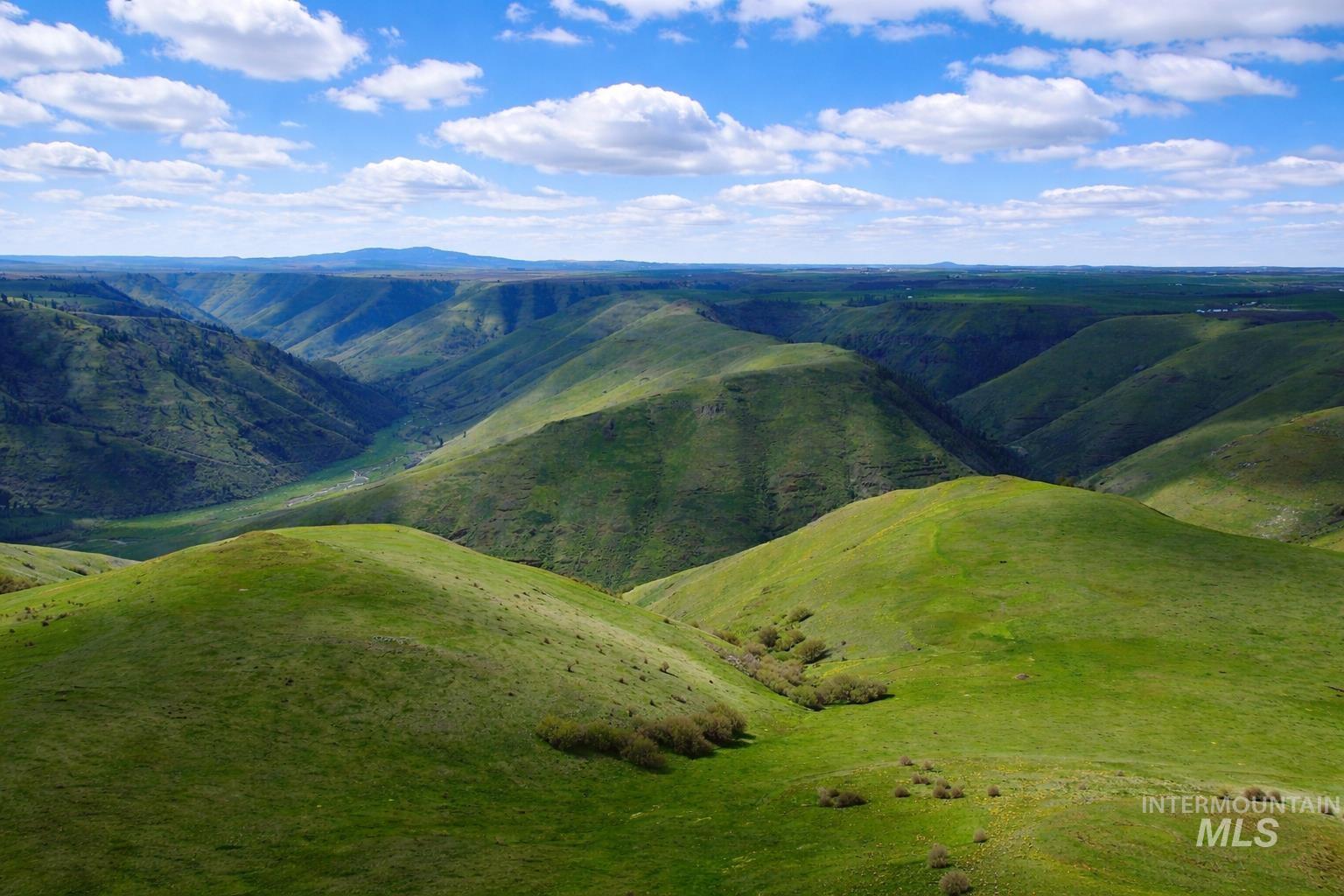 1753 Drake Road Nezperce, ID 83543 - Photo 28 of 31