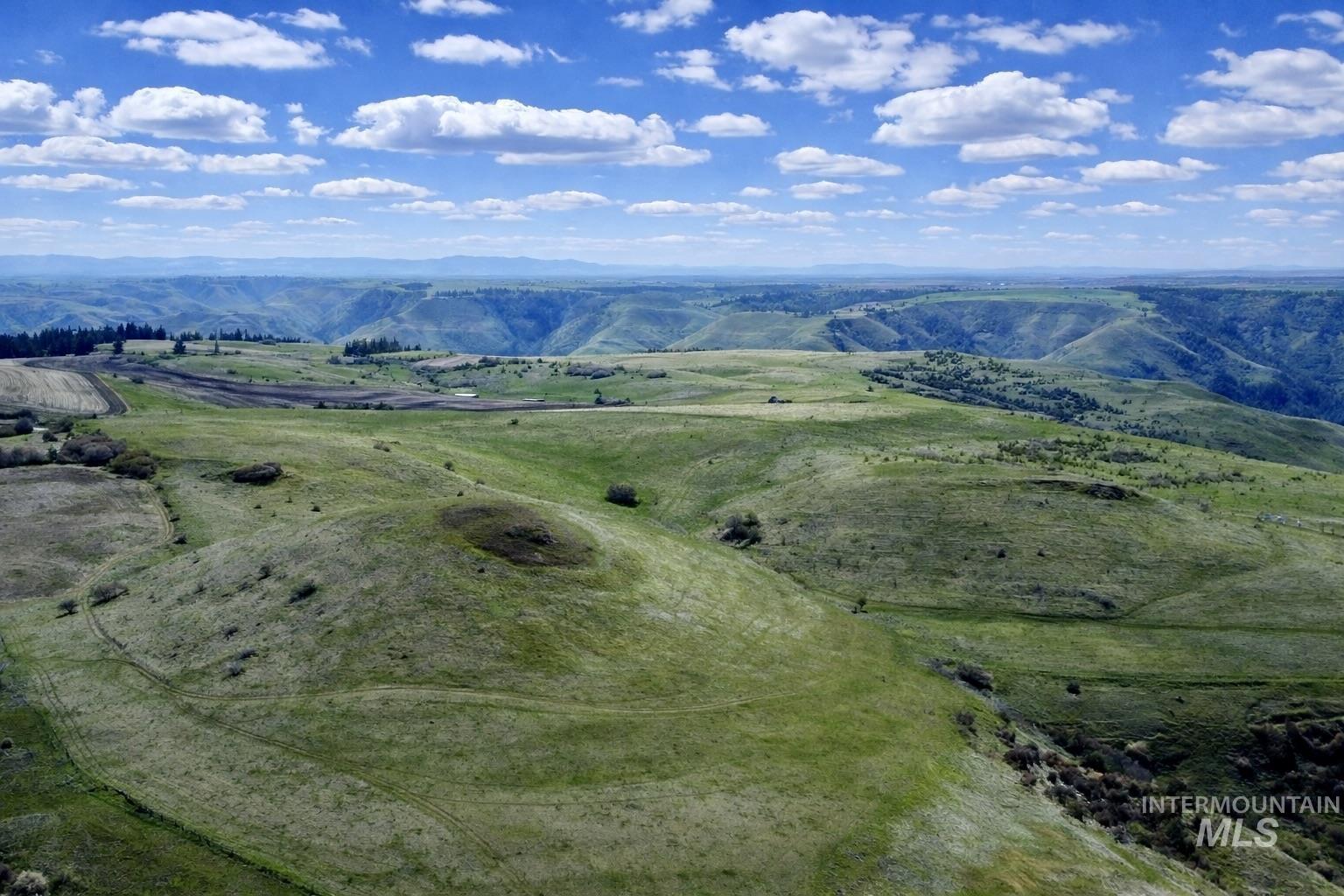 1753 Drake Road Nezperce, ID 83543 - Photo 30 of 31