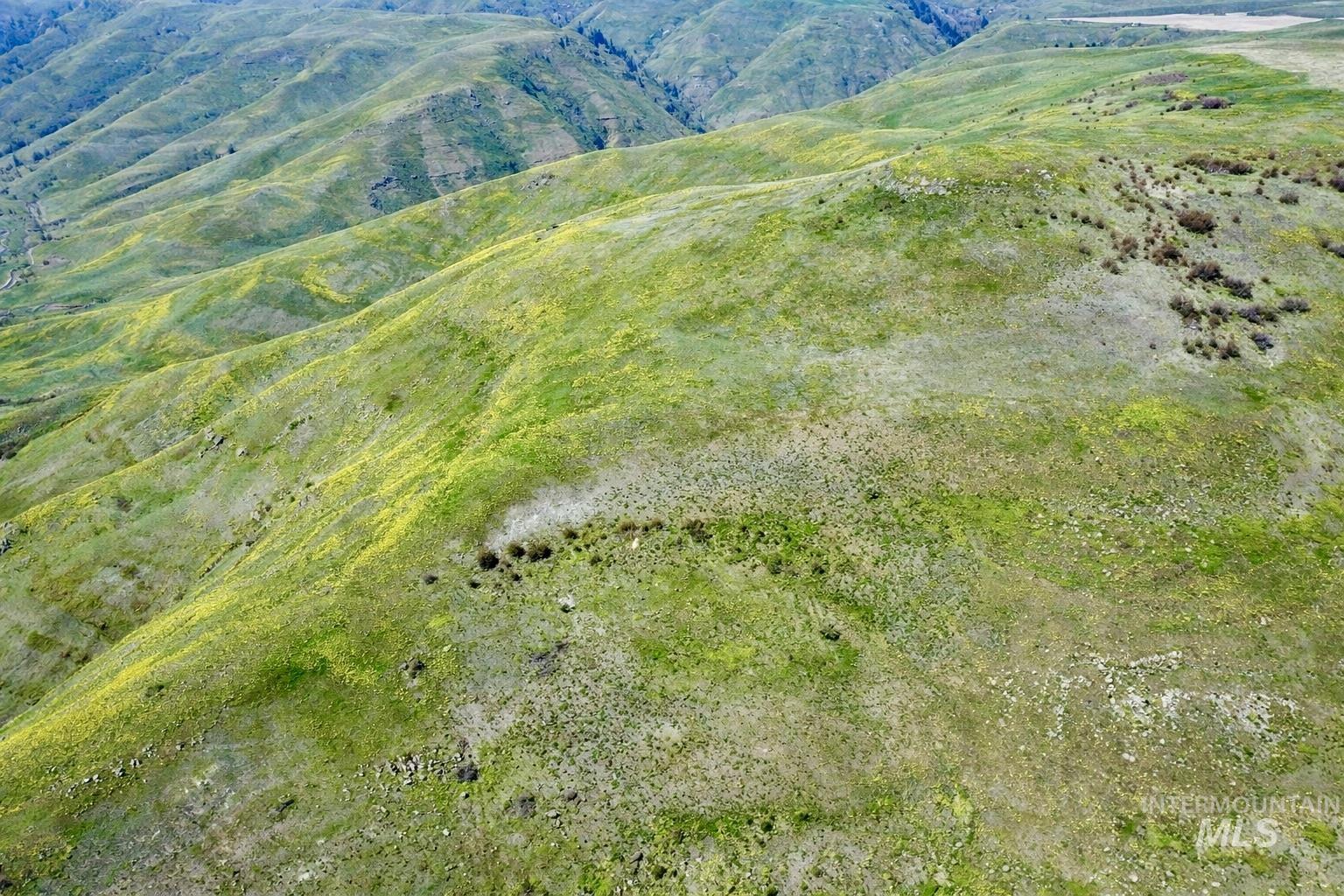 1753 Drake Road Nezperce, ID 83543 - Photo 31 of 31