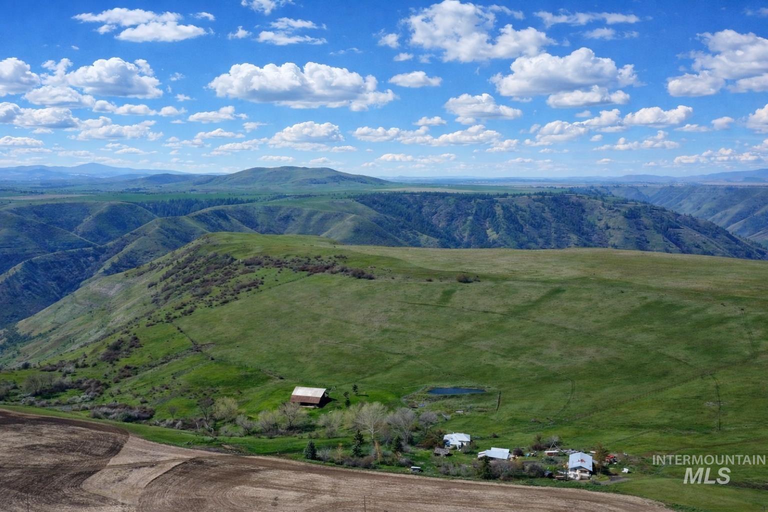 1753 Drake Road Nezperce, ID 83543 - Photo 4 of 31