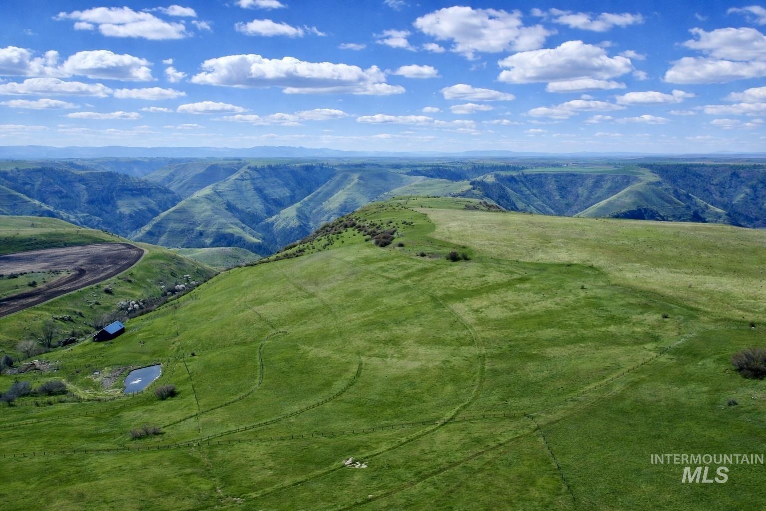 1753 Drake Road Nezperce, ID 83543 - Photo 6 of 31