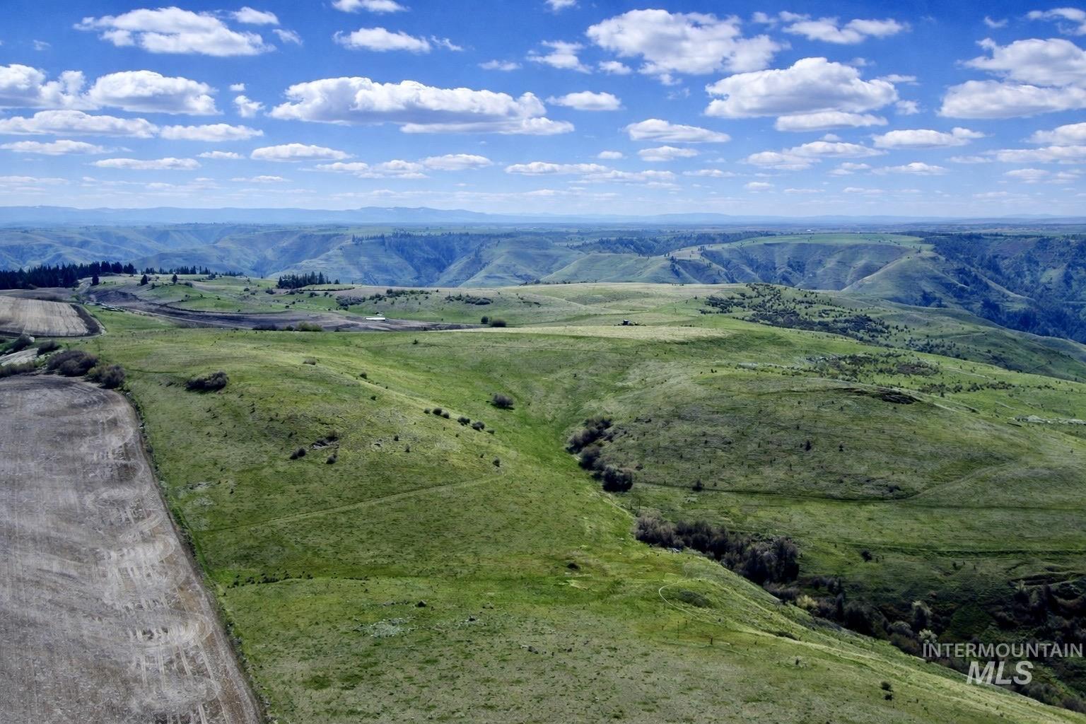 1753 Drake Road Nezperce, ID 83543 - Photo 7 of 31