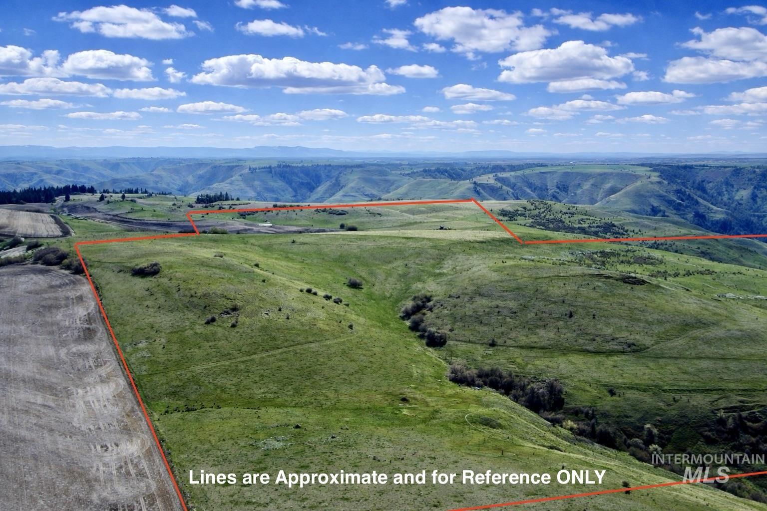 1753 Drake Road Nezperce, ID 83543 - Photo 8 of 31