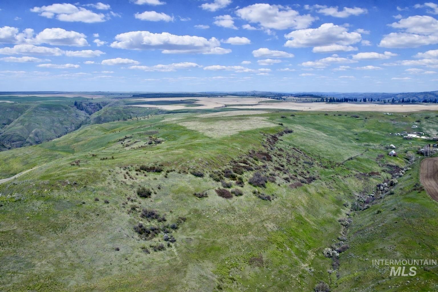 1753 Drake Road Nezperce, ID 83543 - Photo 9 of 31