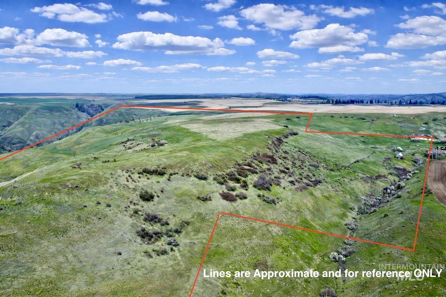 1753 Drake Road Nezperce, ID 83543 - Photo 10 of 31