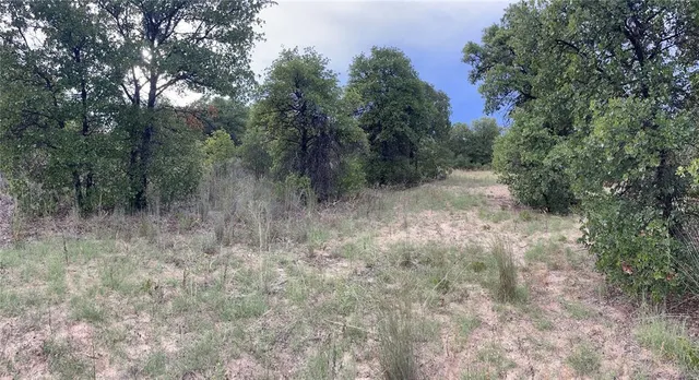 $23,000 | Lot 8 Private Road, Hawley, TX 79525