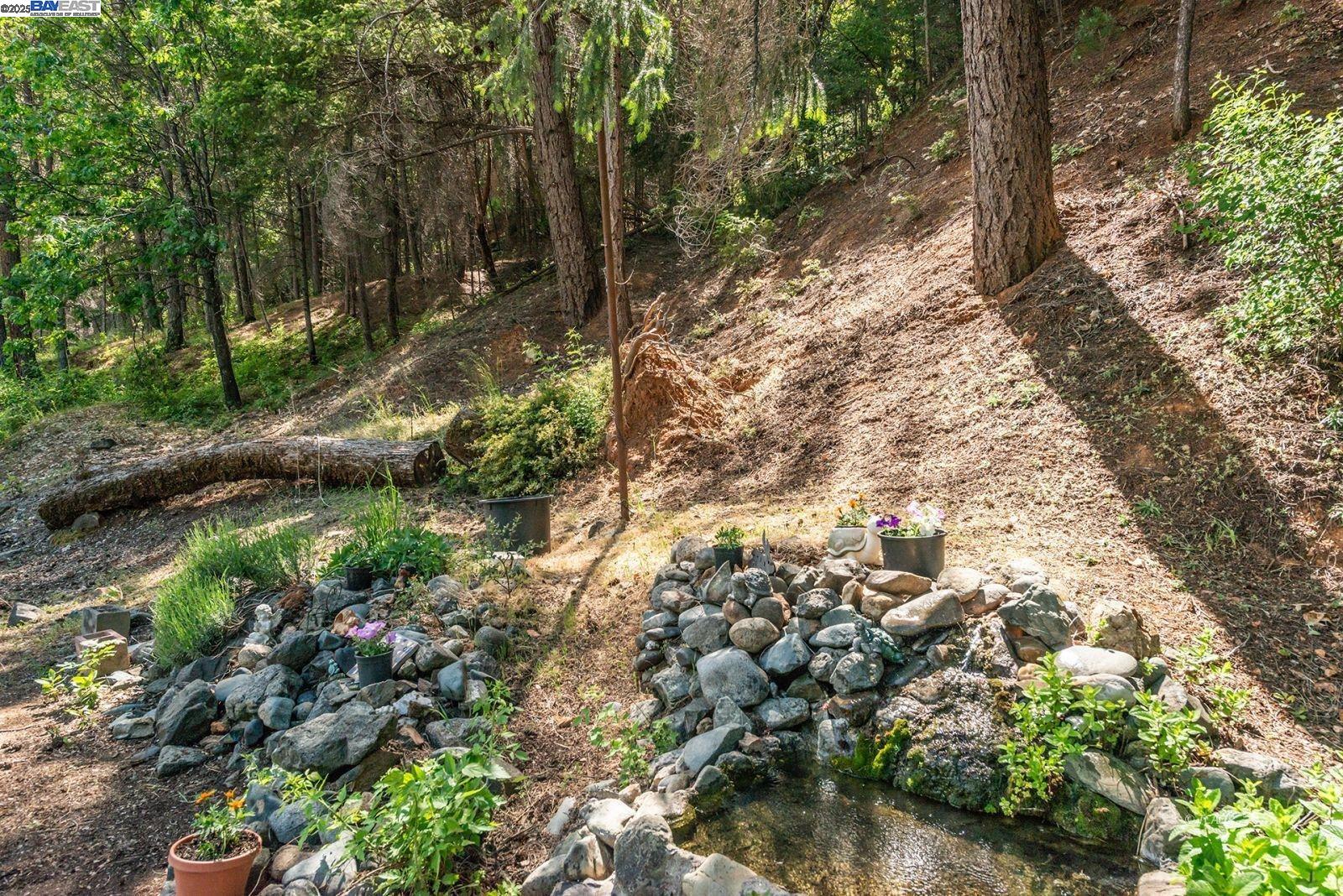 2940 Dutch Creek Road Junction City, CA 96048 - Photo 24 of 47 a view of a yard with plants and trees