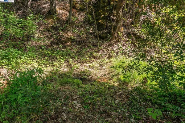 $250,000 | 2940 Dutch Creek Road, Junction City, CA 96048