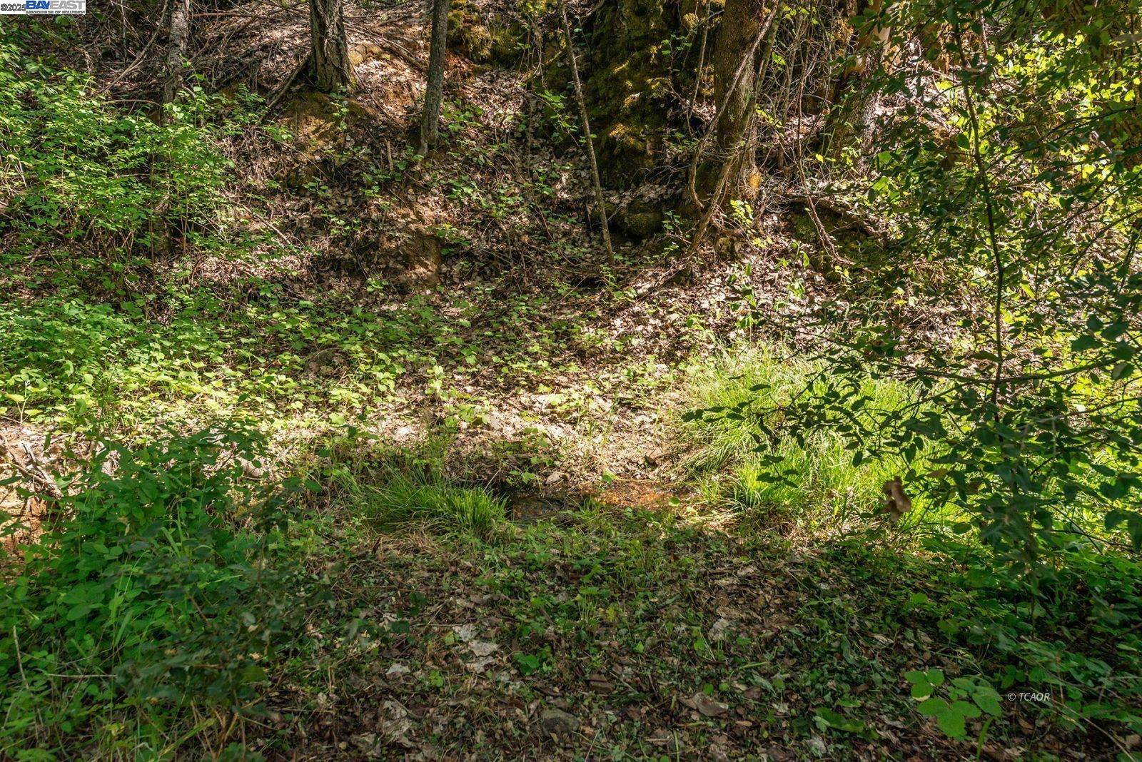 2940 Dutch Creek Road Junction City, CA 96048 - Photo 40 of 47 a view of a yard