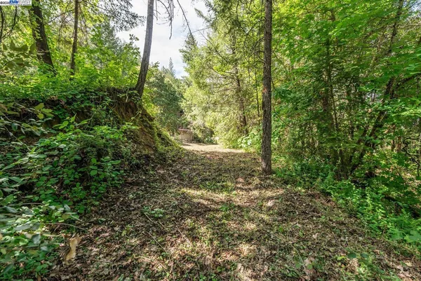 $250,000 | 2940 Dutch Creek Road, Junction City, CA 96048