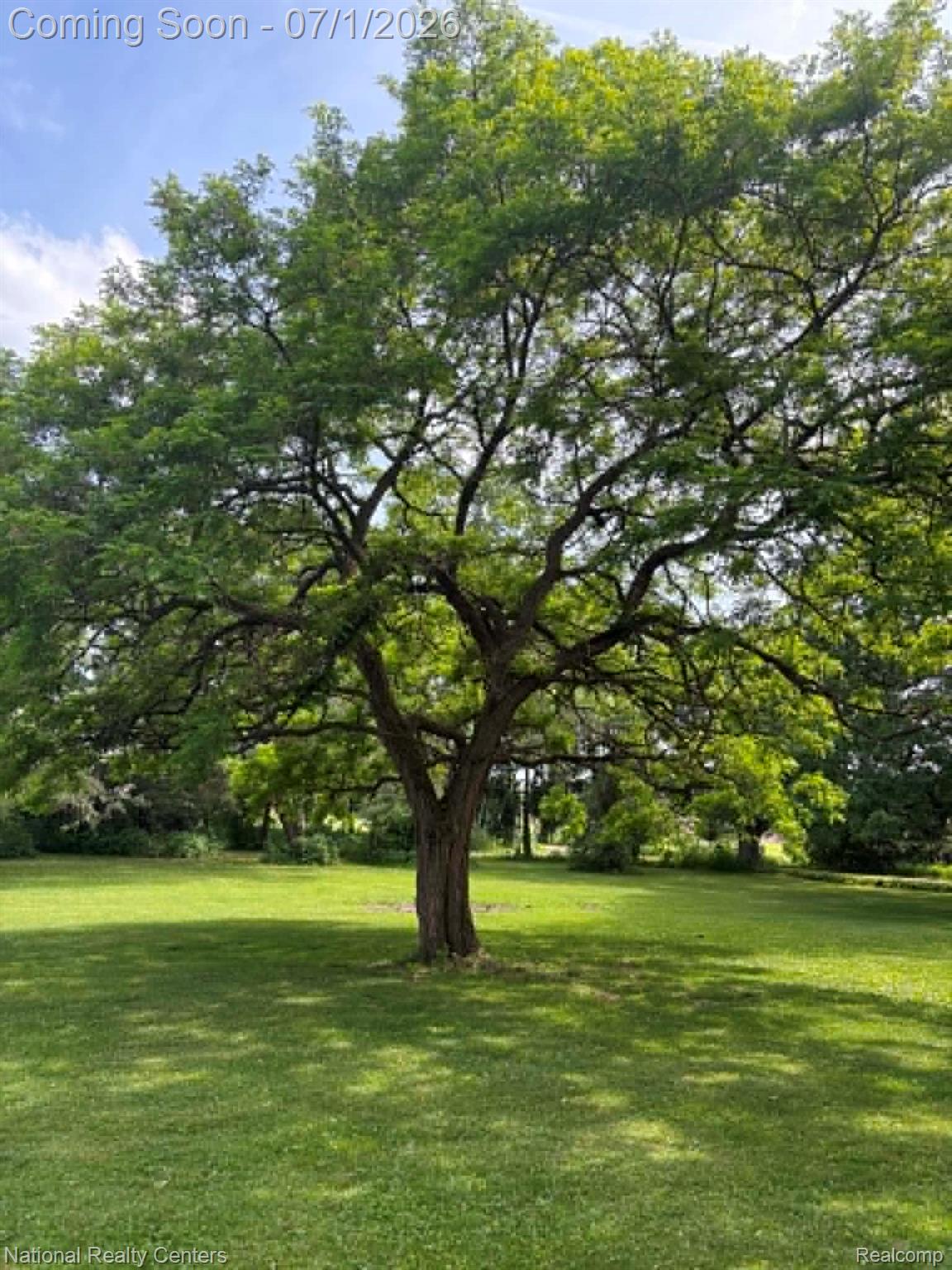 1330 Brauer Road Oxford, MI 48371 - Photo 17 of 54 Expansive green lawn with a mature, full-canopied tree providing natural shade