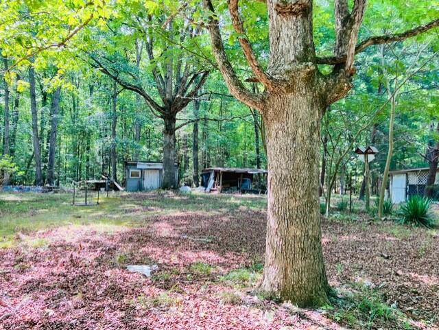 3599 Skipwith Road Boydton, VA 23917 - Photo 13 of 18 Gallery Image 13