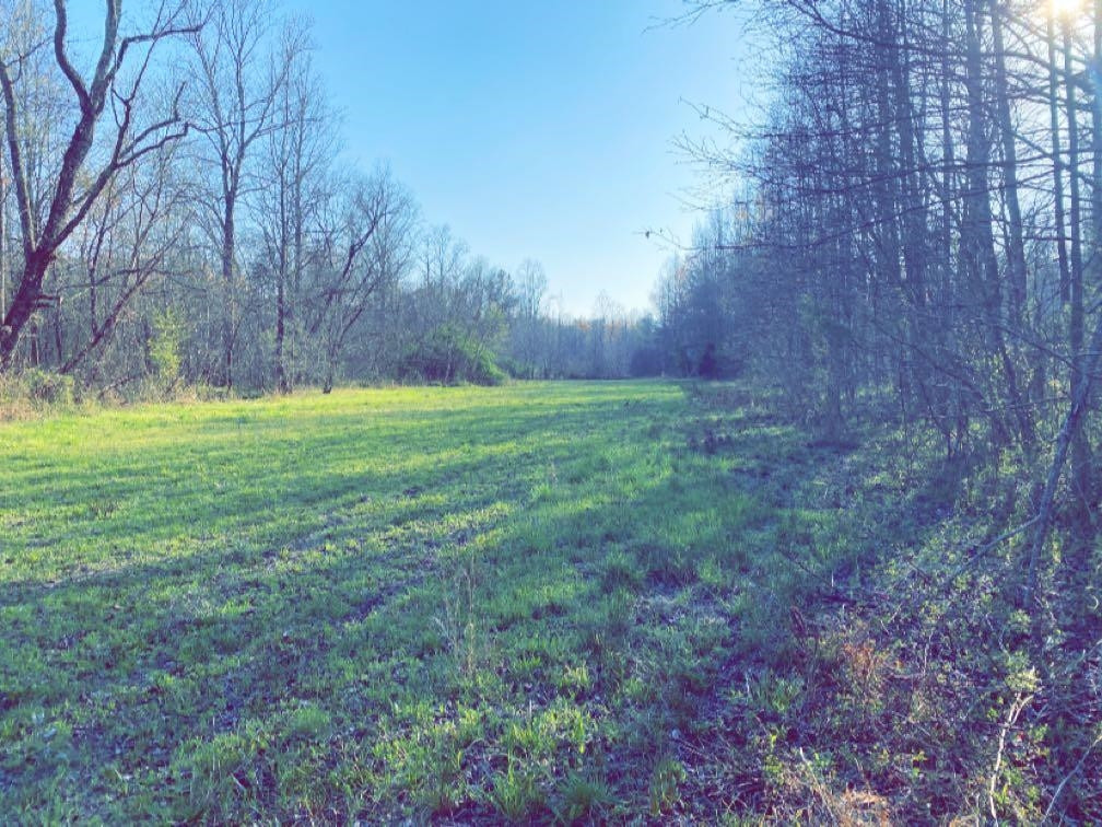 Old Lula Road Reagan, TN 38368 - Photo 1 of 36 Photo 1