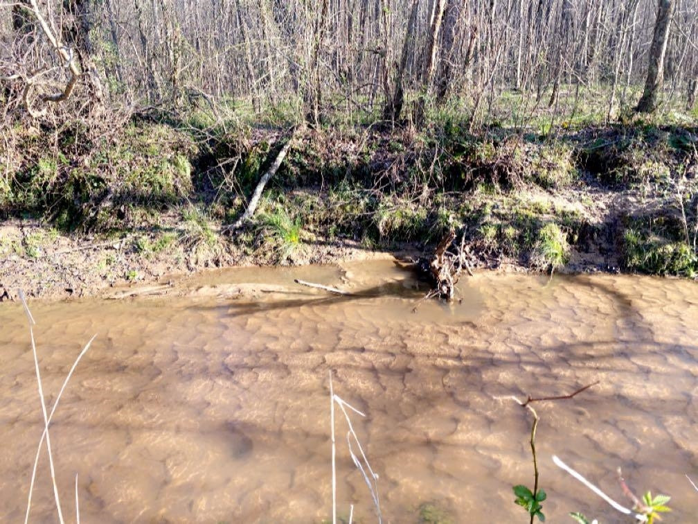 Old Lula Road Reagan, TN 38368 - Photo 12 of 36 Photo 12