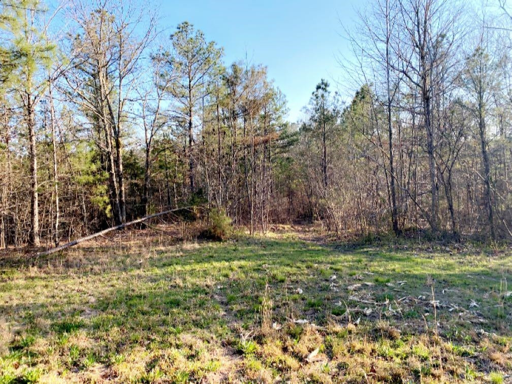 Old Lula Road Reagan, TN 38368 - Photo 14 of 36 Photo 14