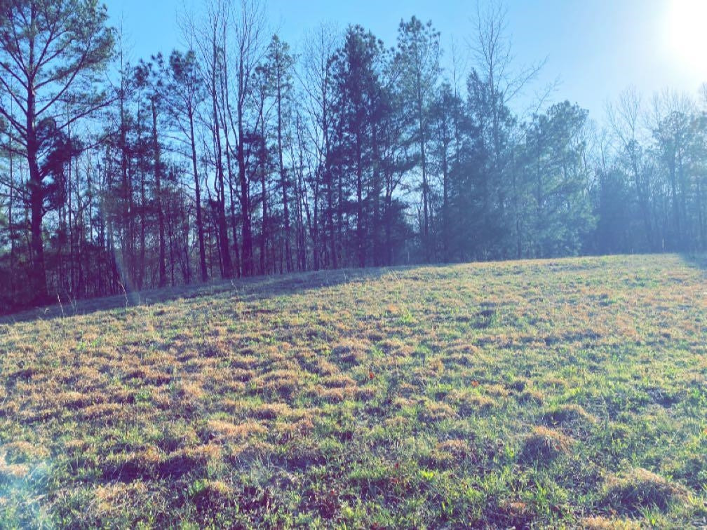 Old Lula Road Reagan, TN 38368 - Photo 15 of 36 Photo 15