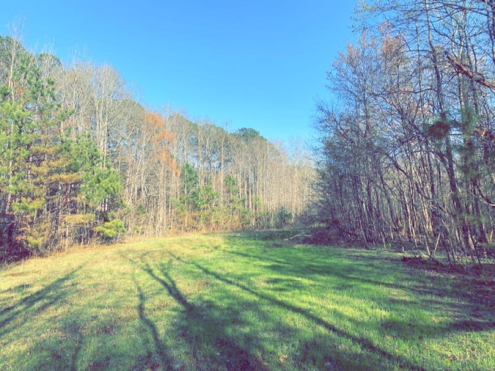 Old Lula Road Reagan, TN 38368 - Photo 16 of 36 Photo 16