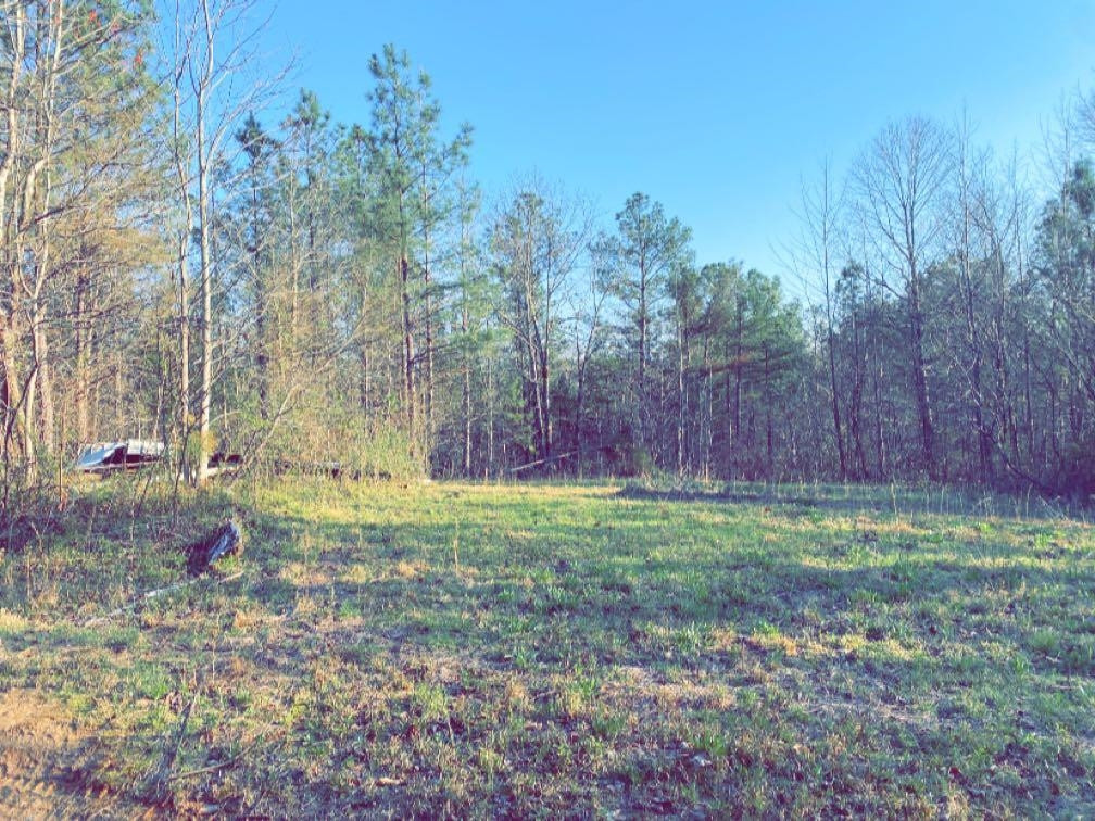 Old Lula Road Reagan, TN 38368 - Photo 17 of 36 Photo 17