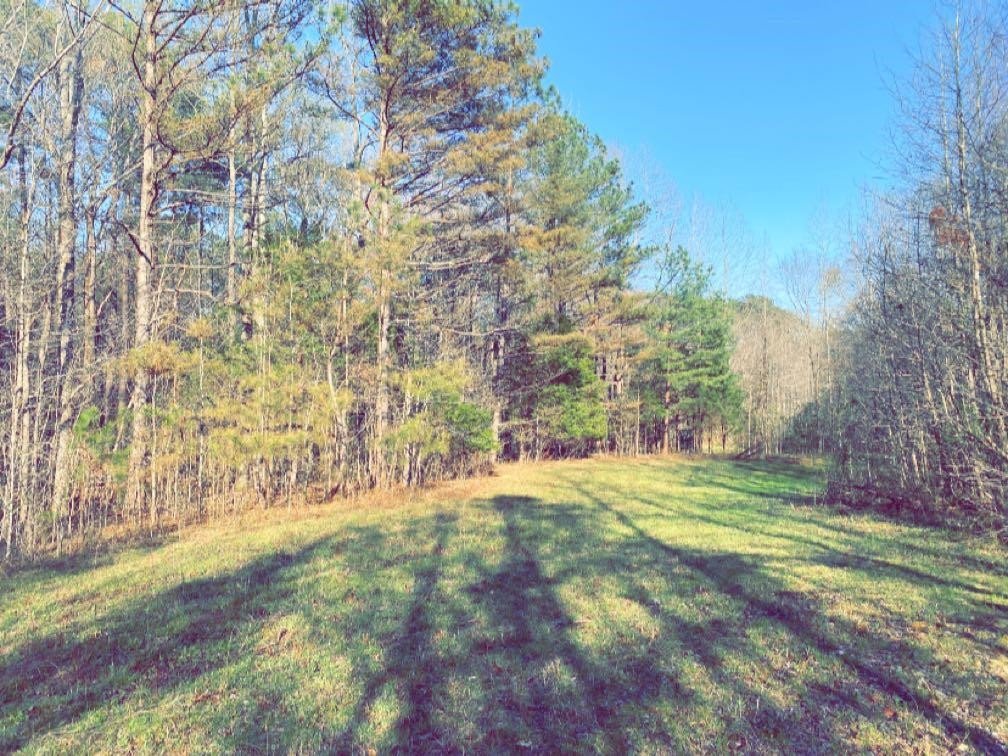 Old Lula Road Reagan, TN 38368 - Photo 20 of 36 Photo 20