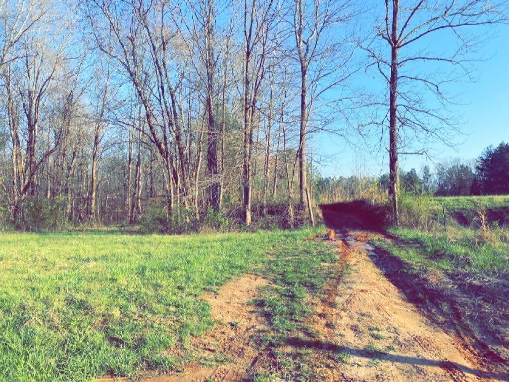 Old Lula Road Reagan, TN 38368 - Photo 2 of 36 Photo 2