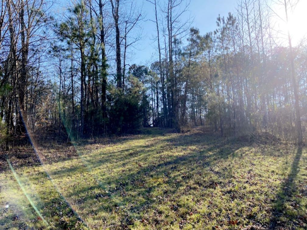 Old Lula Road Reagan, TN 38368 - Photo 21 of 36 Photo 21
