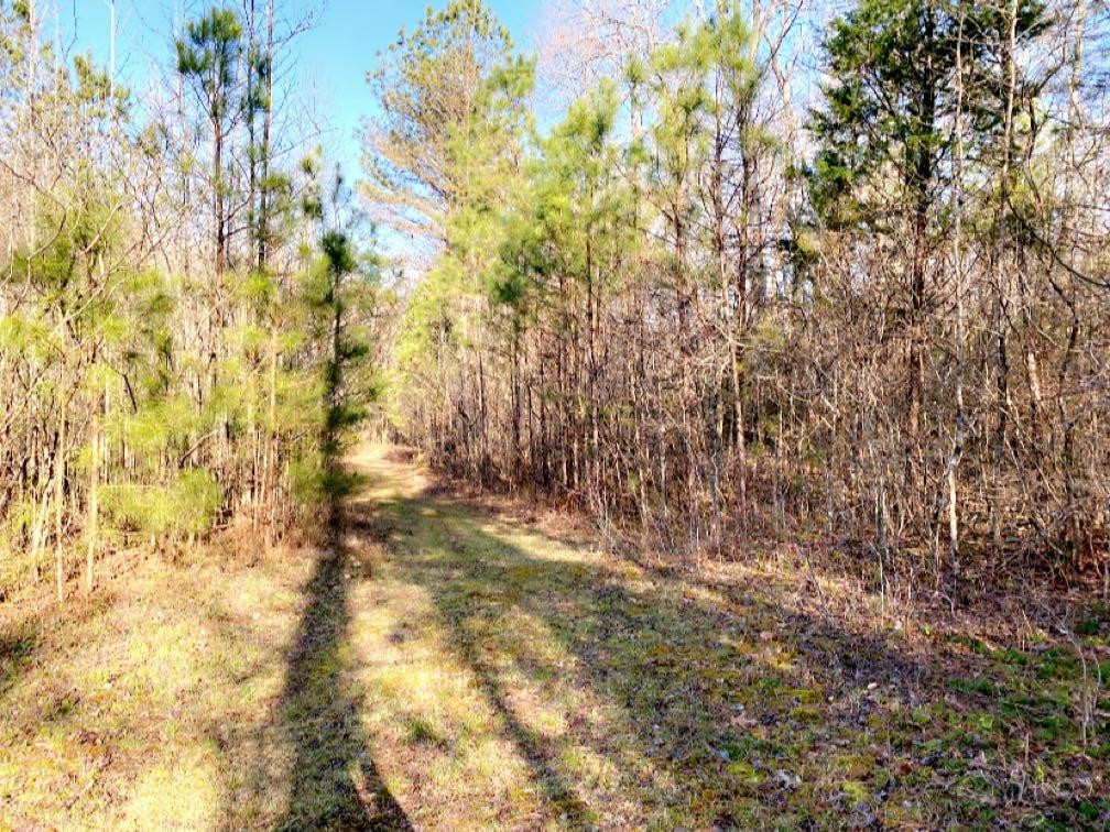Old Lula Road Reagan, TN 38368 - Photo 23 of 36 Photo 23