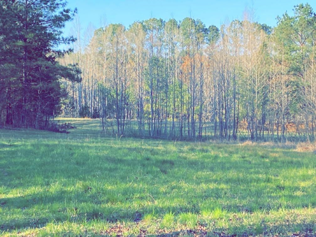 Old Lula Road Reagan, TN 38368 - Photo 24 of 36 Photo 24