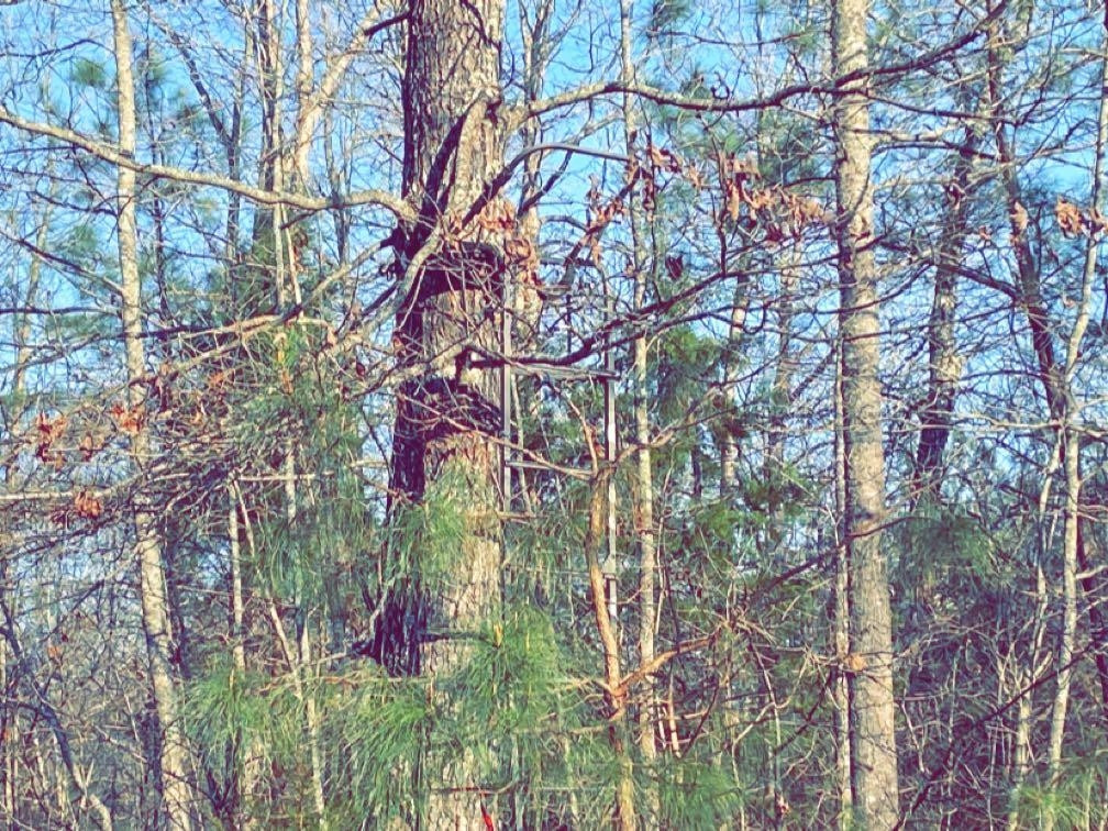 Old Lula Road Reagan, TN 38368 - Photo 25 of 36 Photo 25