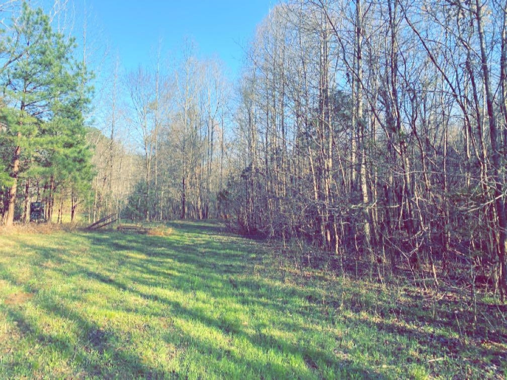 Old Lula Road Reagan, TN 38368 - Photo 27 of 36 Photo 27
