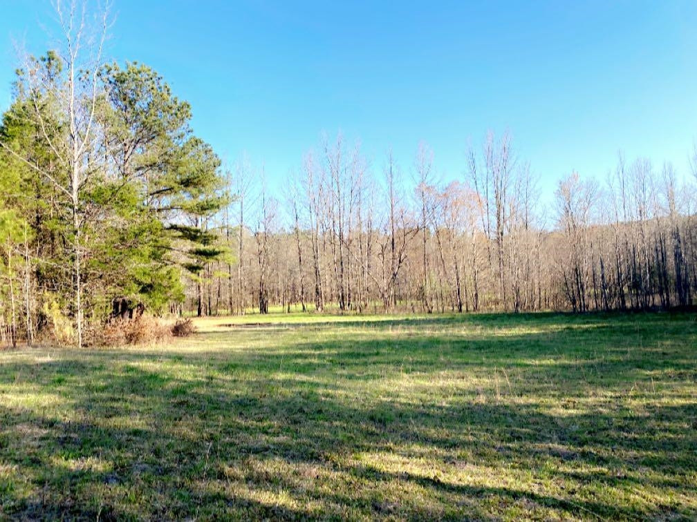 Old Lula Road Reagan, TN 38368 - Photo 28 of 36 Photo 28
