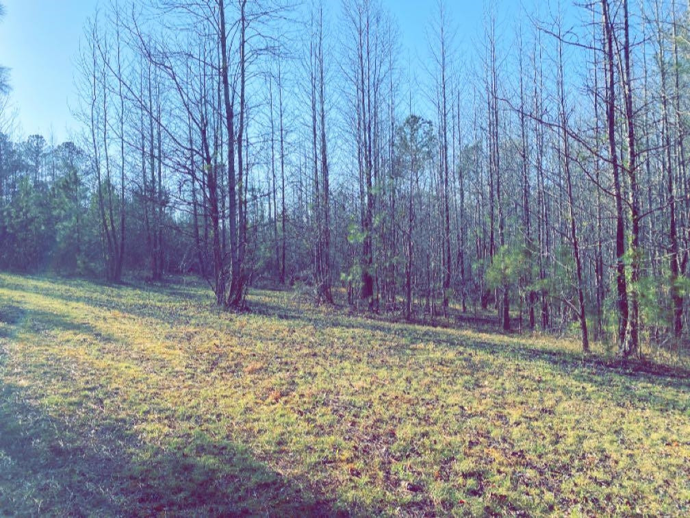 Old Lula Road Reagan, TN 38368 - Photo 29 of 36 Photo 29