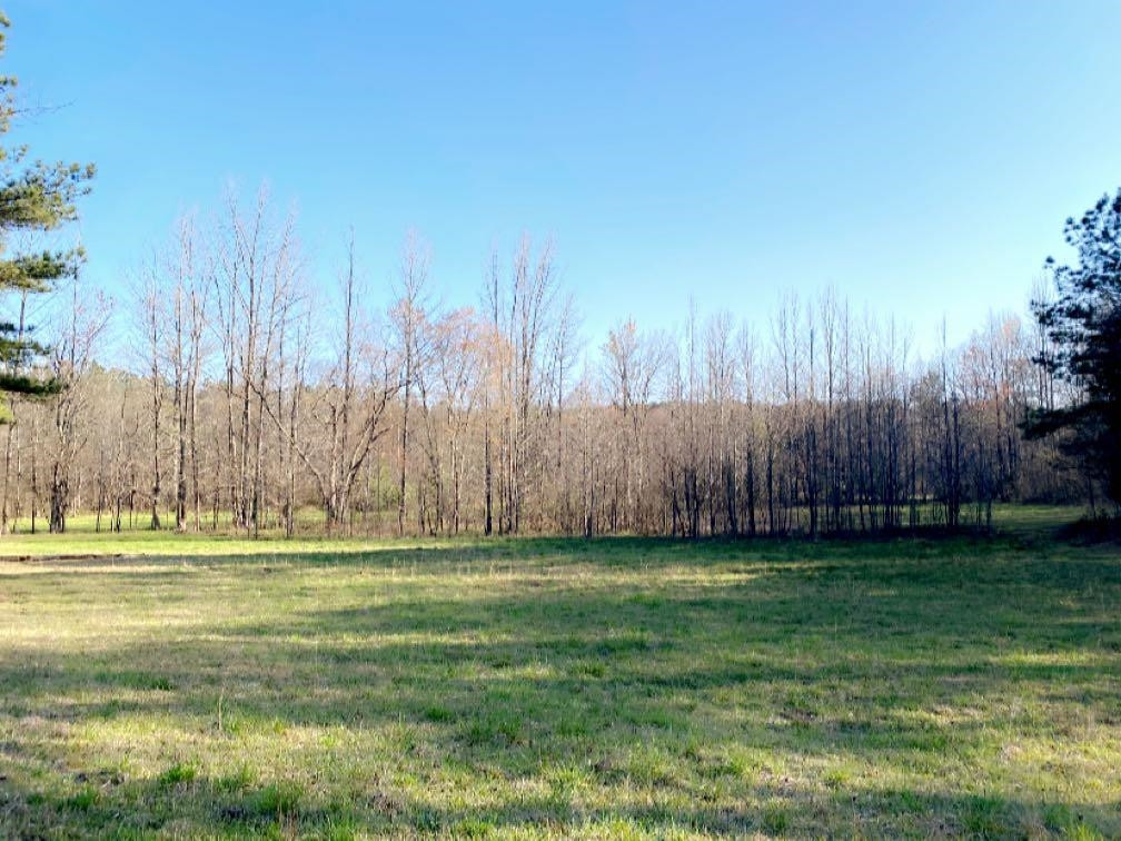 Old Lula Road Reagan, TN 38368 - Photo 30 of 36 Photo 30