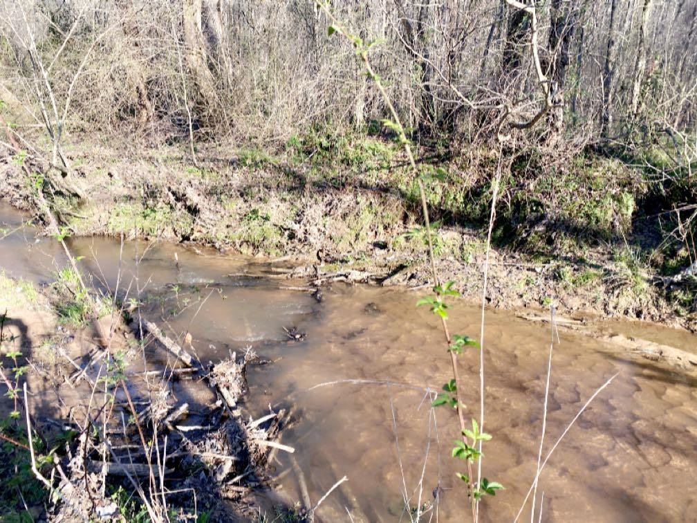 Old Lula Road Reagan, TN 38368 - Photo 3 of 36 Photo 3