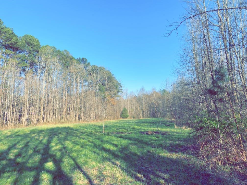 Old Lula Road Reagan, TN 38368 - Photo 31 of 36 Photo 31