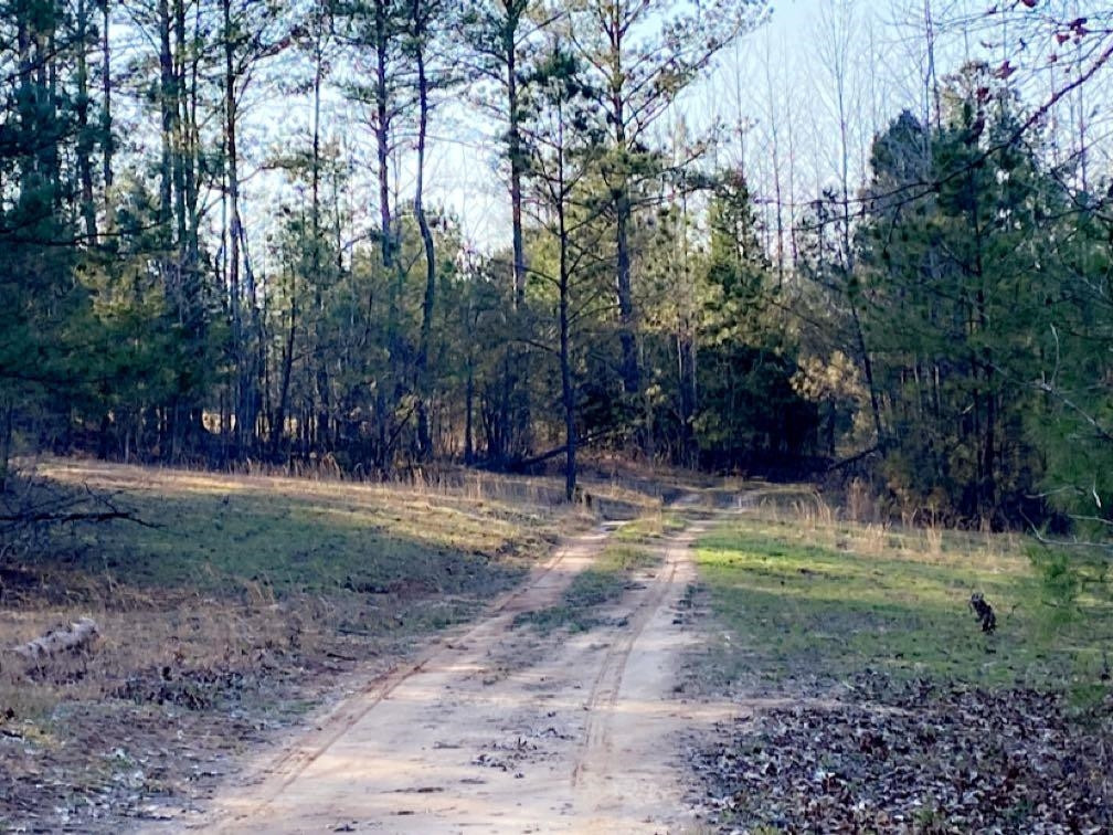 Old Lula Road Reagan, TN 38368 - Photo 33 of 36 Photo 33