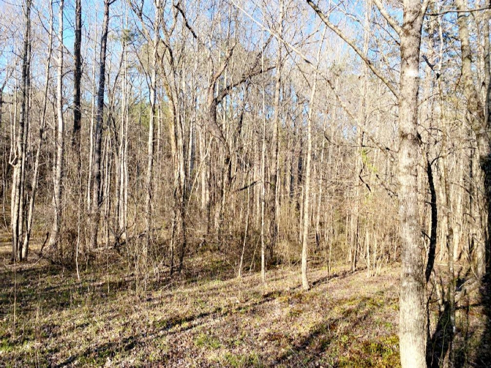 Old Lula Road Reagan, TN 38368 - Photo 35 of 36 Photo 35