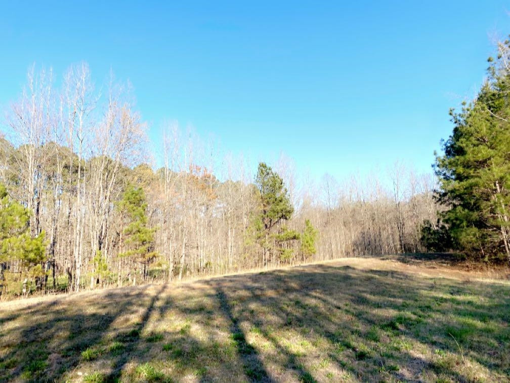 Old Lula Road Reagan, TN 38368 - Photo 36 of 36 Photo 36