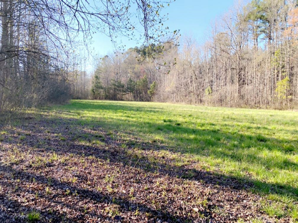 Old Lula Road Reagan, TN 38368 - Photo 5 of 36 Photo 5
