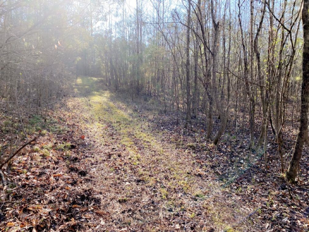 Old Lula Road Reagan, TN 38368 - Photo 6 of 36 Photo 6