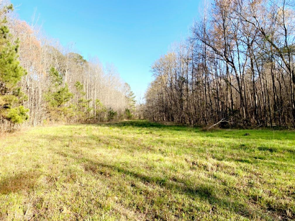 Old Lula Road Reagan, TN 38368 - Photo 8 of 36 Photo 8
