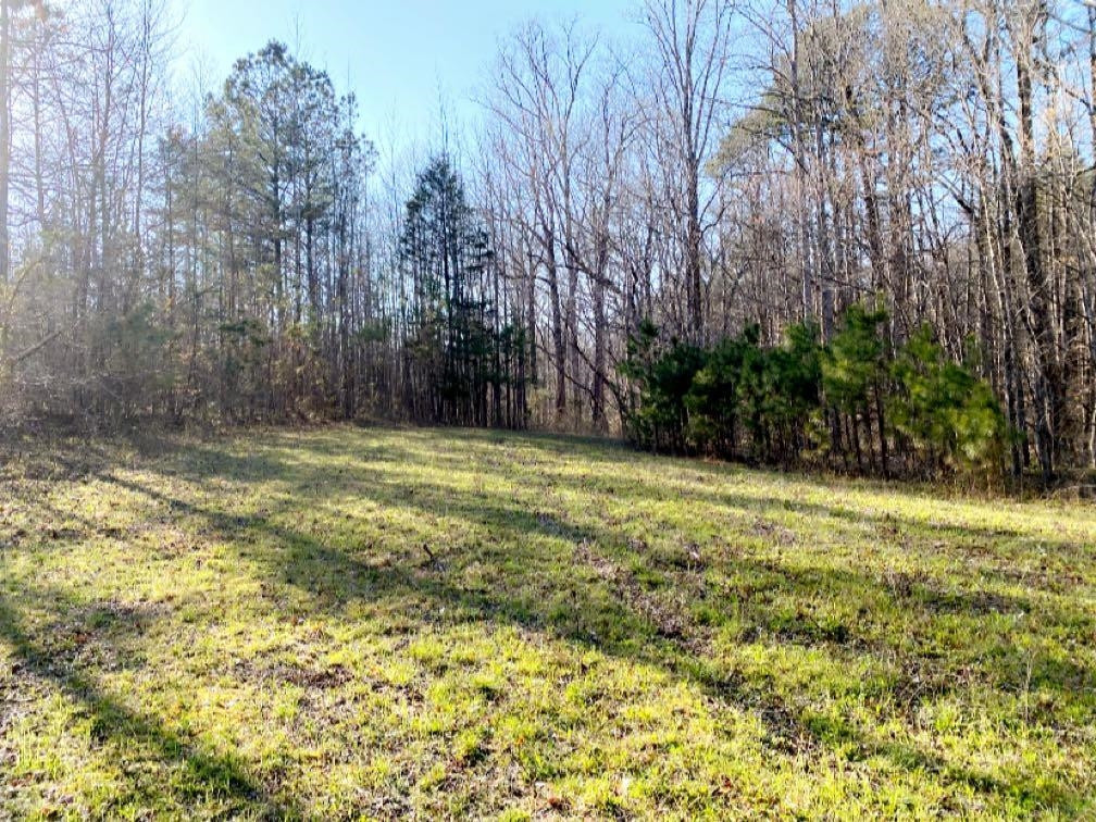Old Lula Road Reagan, TN 38368 - Photo 9 of 36 Photo 9