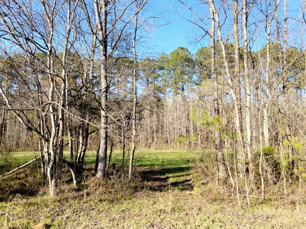 Old Lula Road Reagan, TN 38368 - Photo 10 of 36 Photo 10