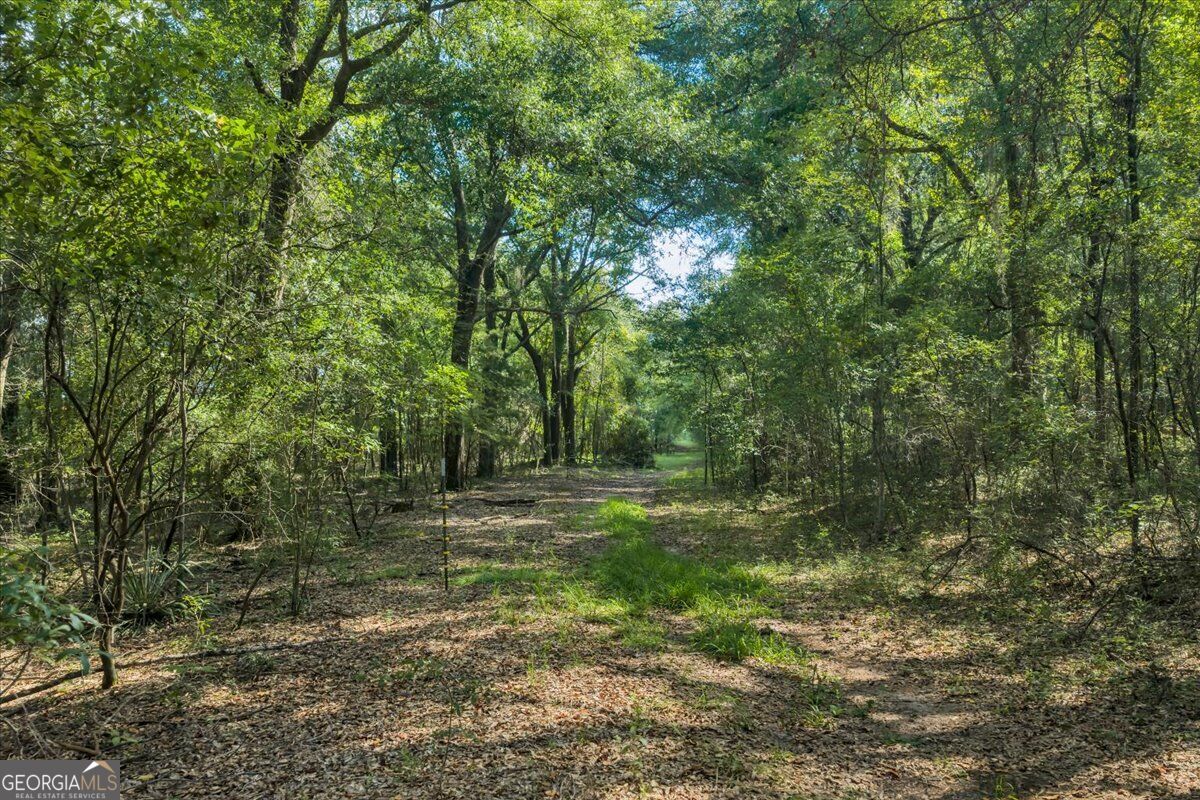 0 Airport Road Hawkinsville, GA 31036 - Photo 12 of 32 Gallery Image 12