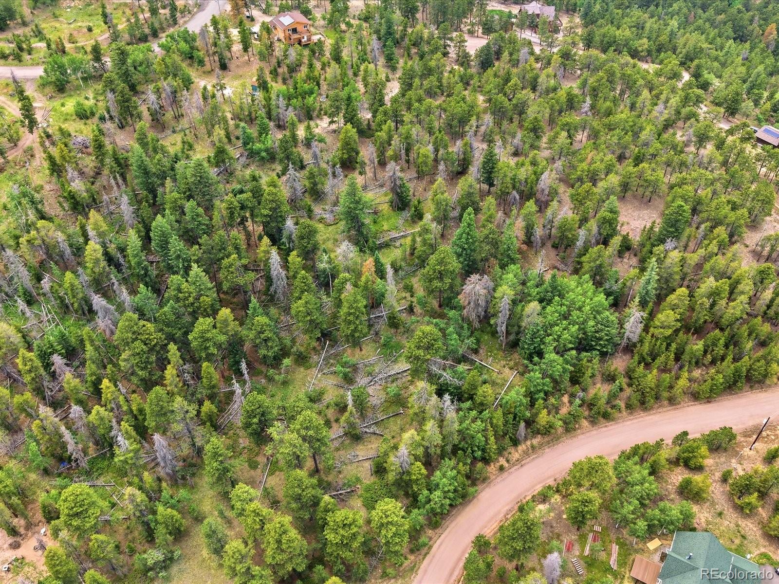 543 Crescent Lake Road Golden, CO 80403 - Photo 7 of 14