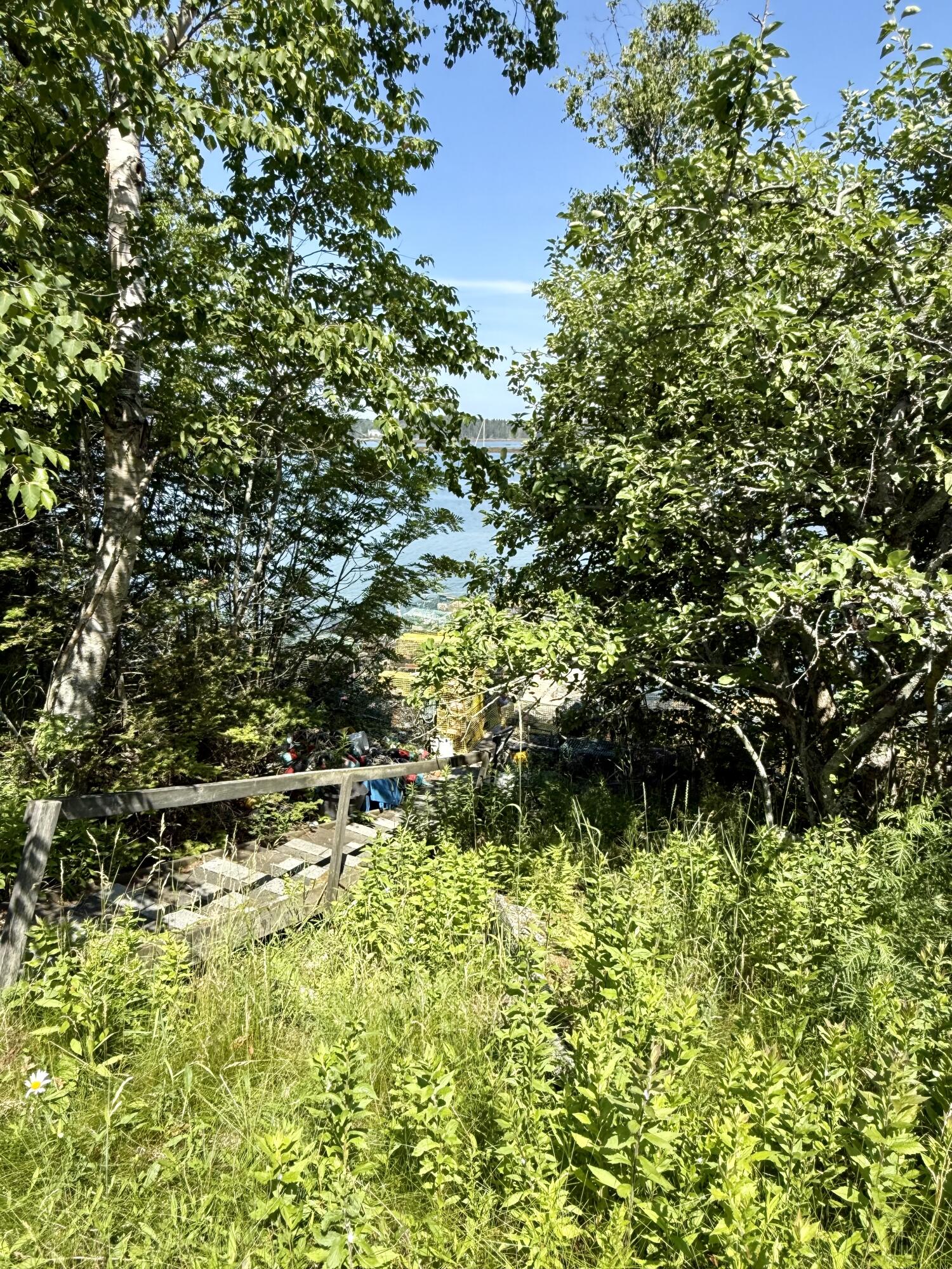 399 Mooseneck Road Addison, ME 04606 - Photo 24 of 36 IMG_6189